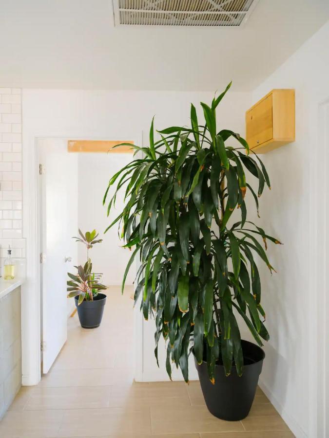 The Zen - Outdoor Shower, Gas Fireplace, Walkable To Shops & Restaurants Joshua Tree Εξωτερικό φωτογραφία